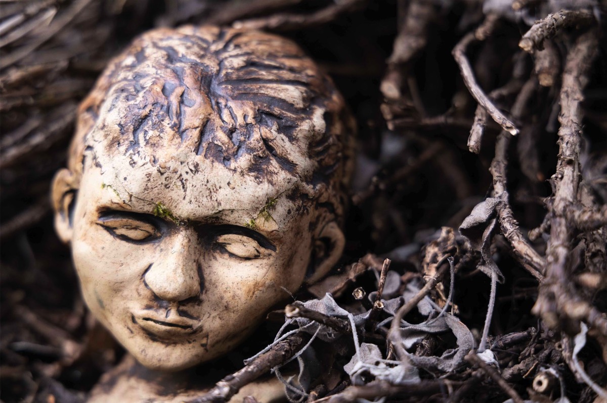 Stacks Image 4485056