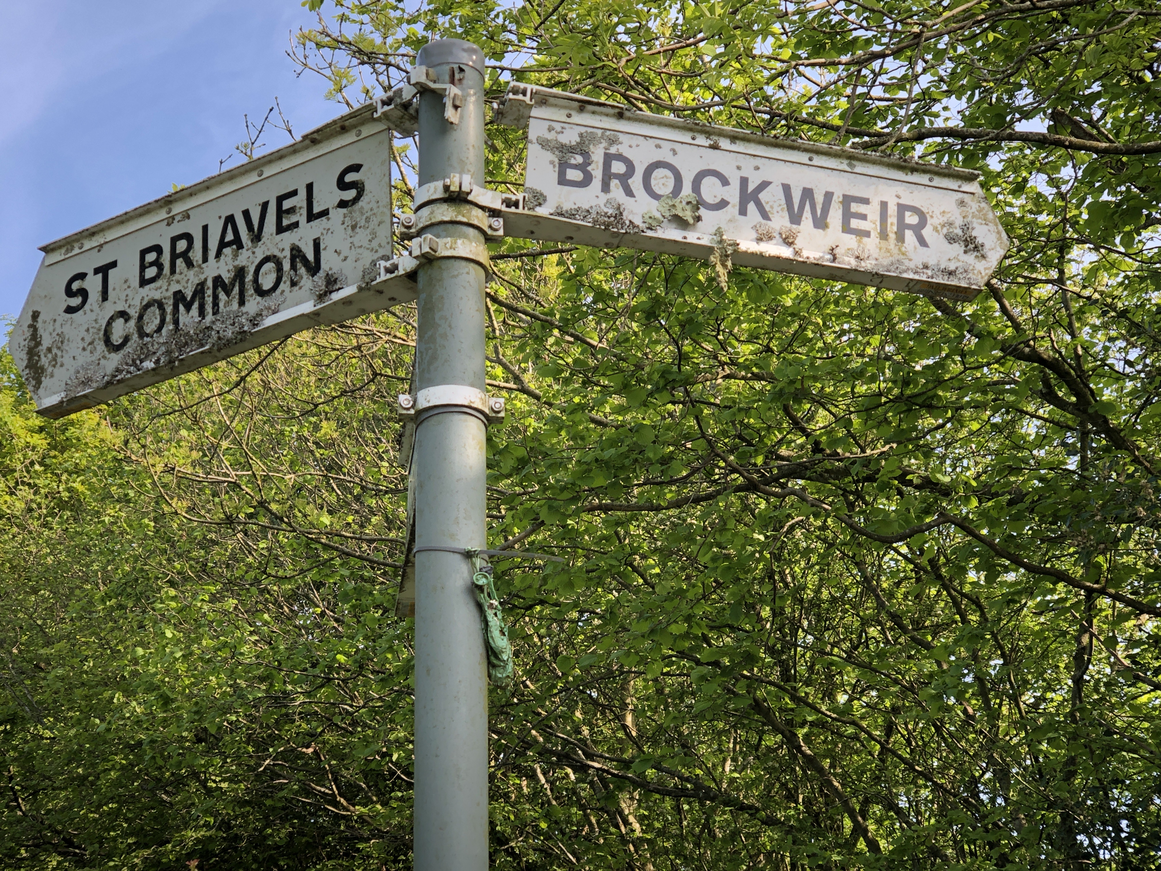 Signpost with directions