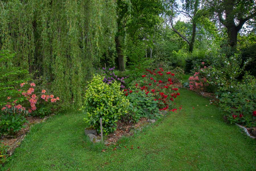 View of the Rhododendron Garden