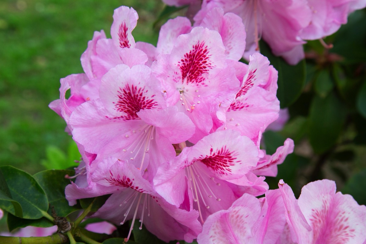 Stacks Image 4485106