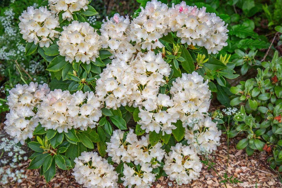 Stacks Image 4485108