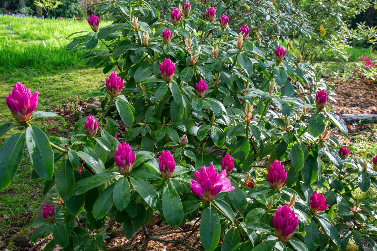 Stacks Image 4485114